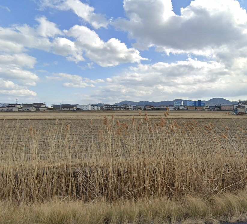 田や畑などの農地を売却したい場合の注意点